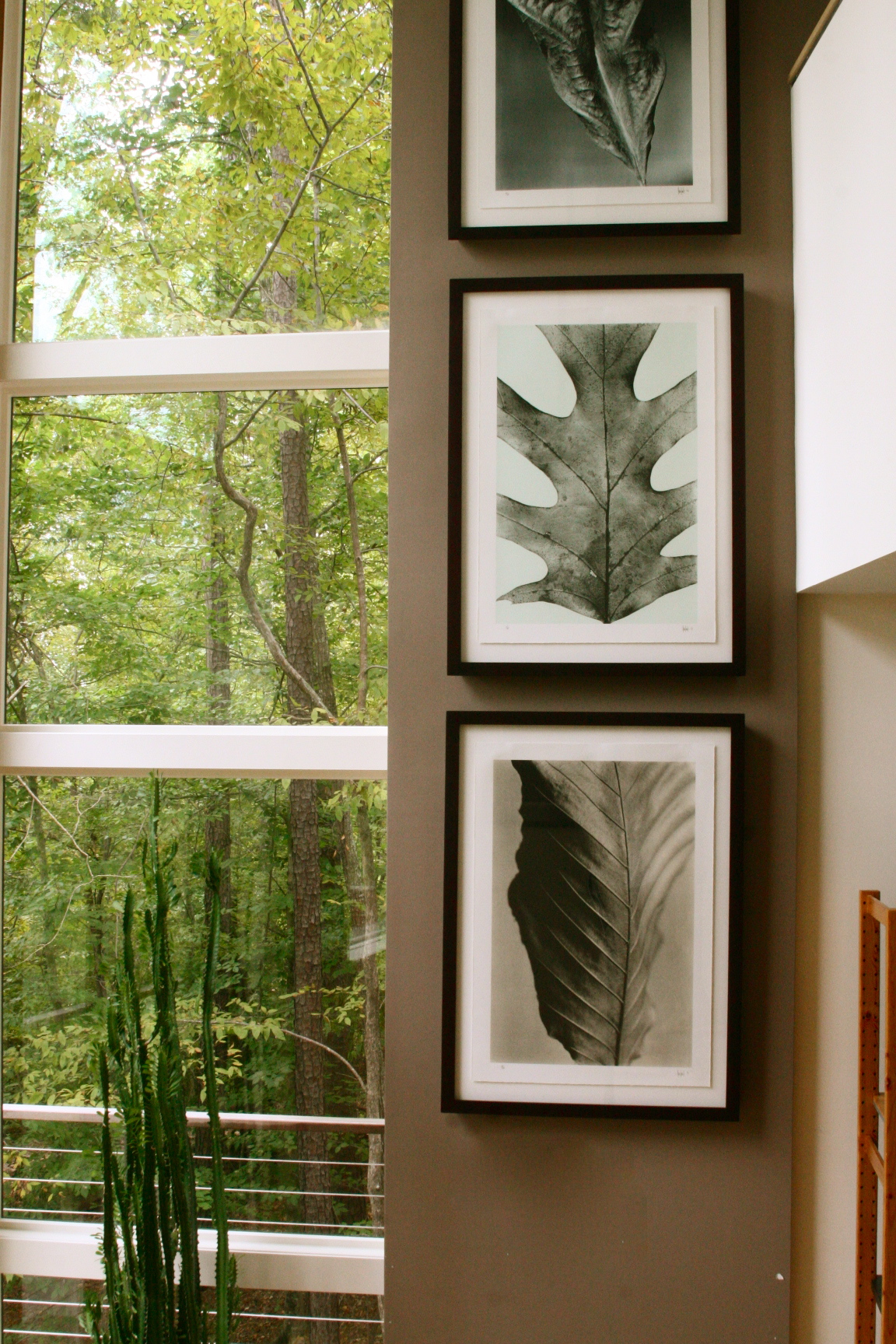 cassilhouse cassilhouse