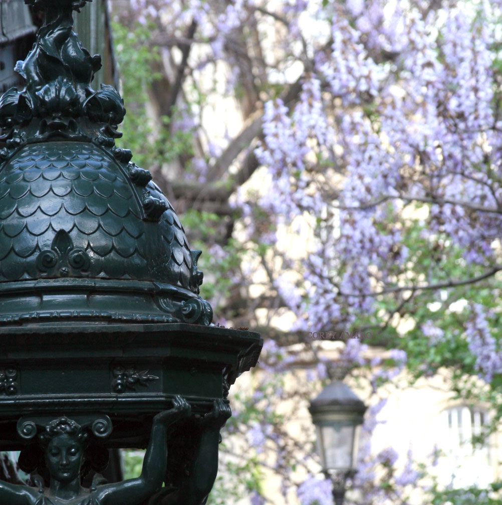 Fountain-and-flowering