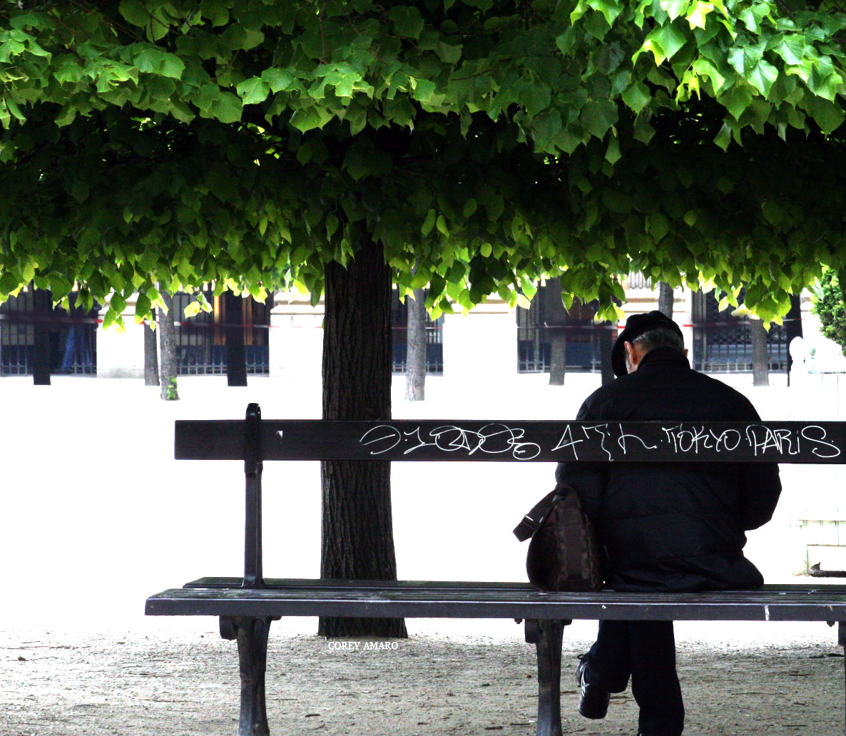 Tagging-the-park-bench Tagging-the-park-bench