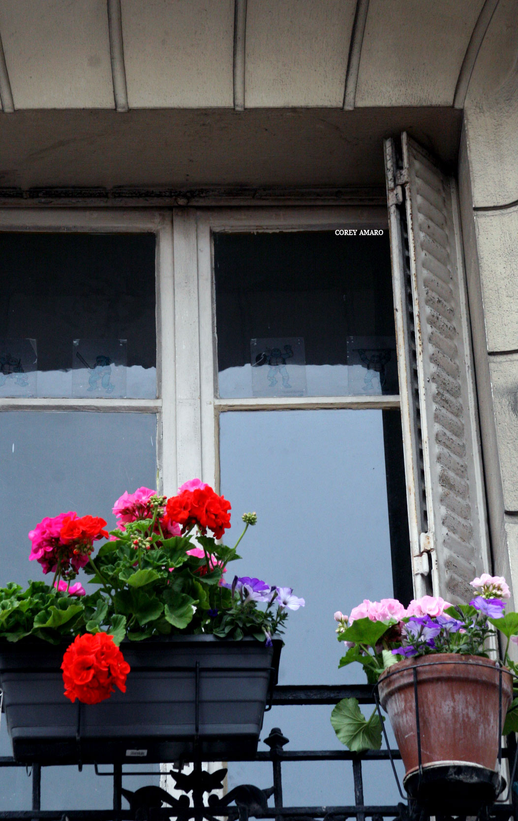 window with a planter of flowers window with a planter of flowers