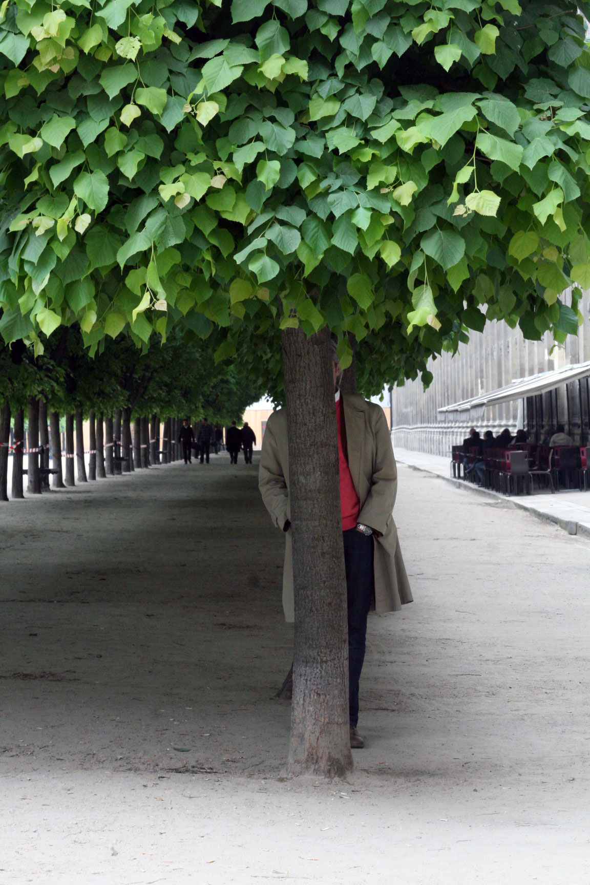 Stand-off-in-the-trees