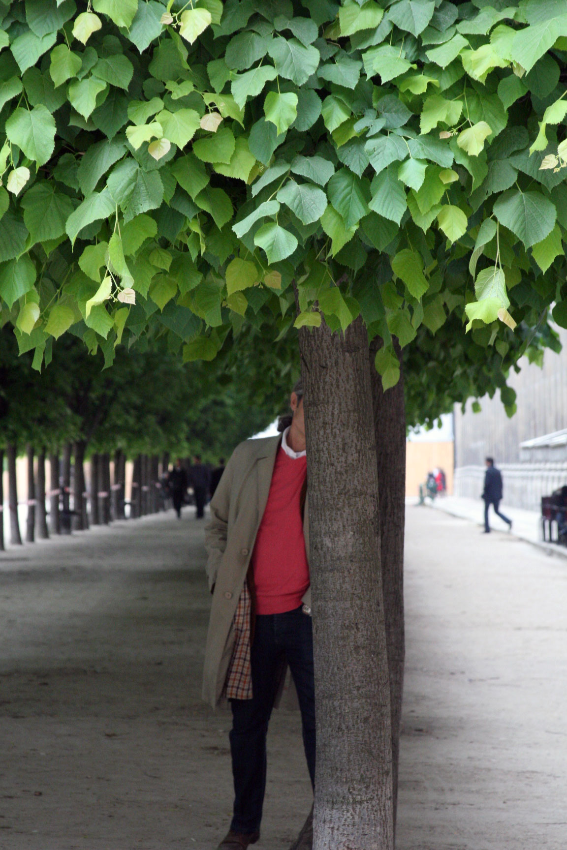 Hiding-in-the-trees