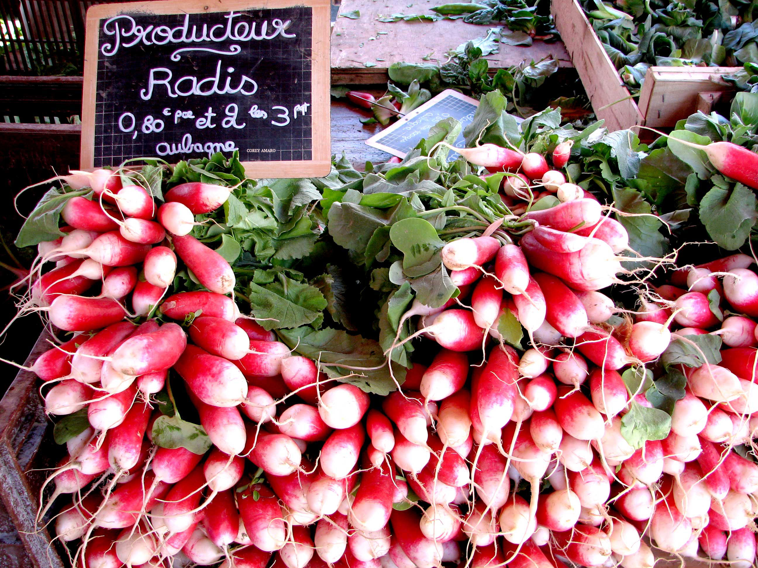 Red-radish