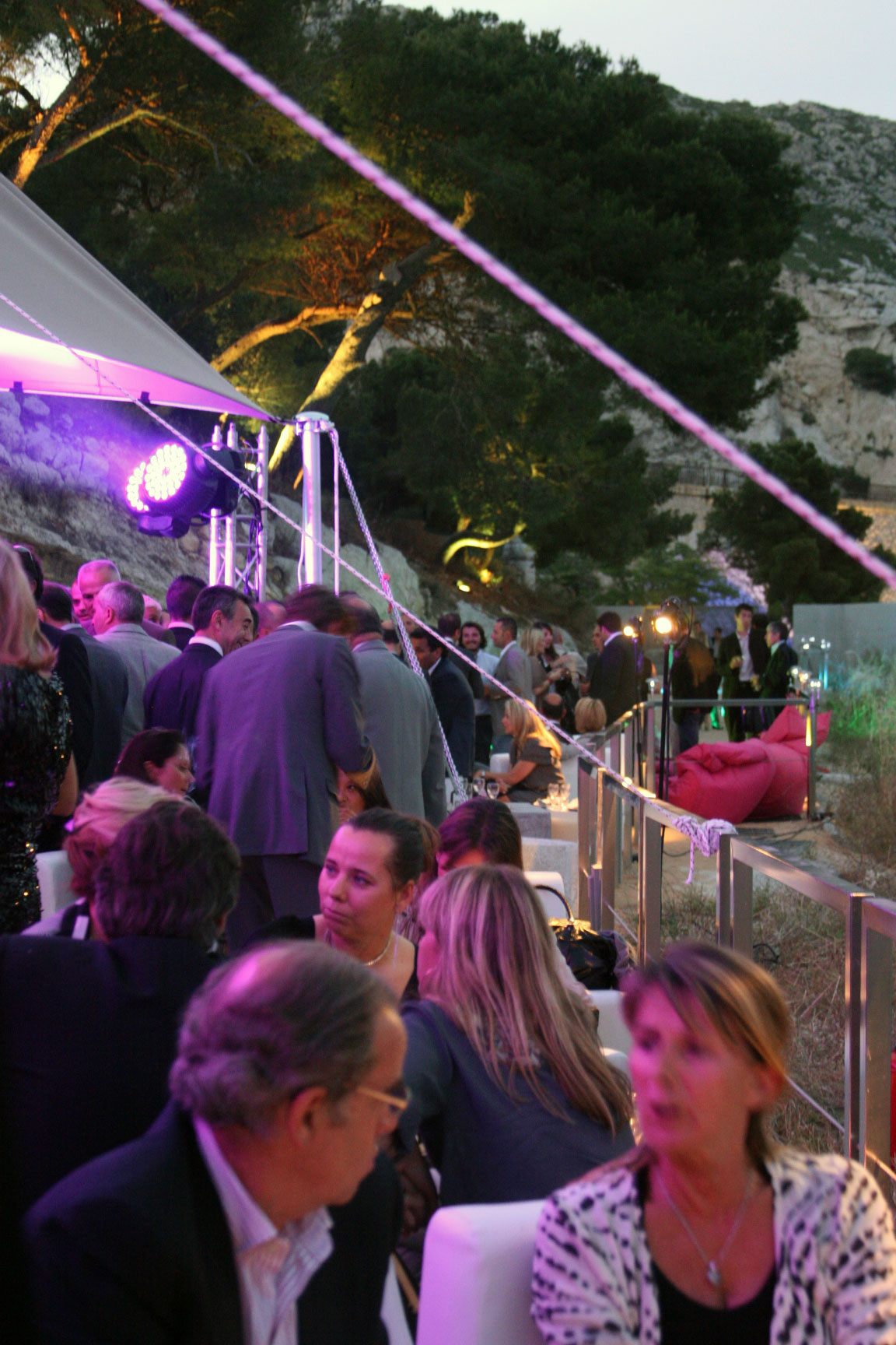 Pitched-party-tent Pitched-party-tent