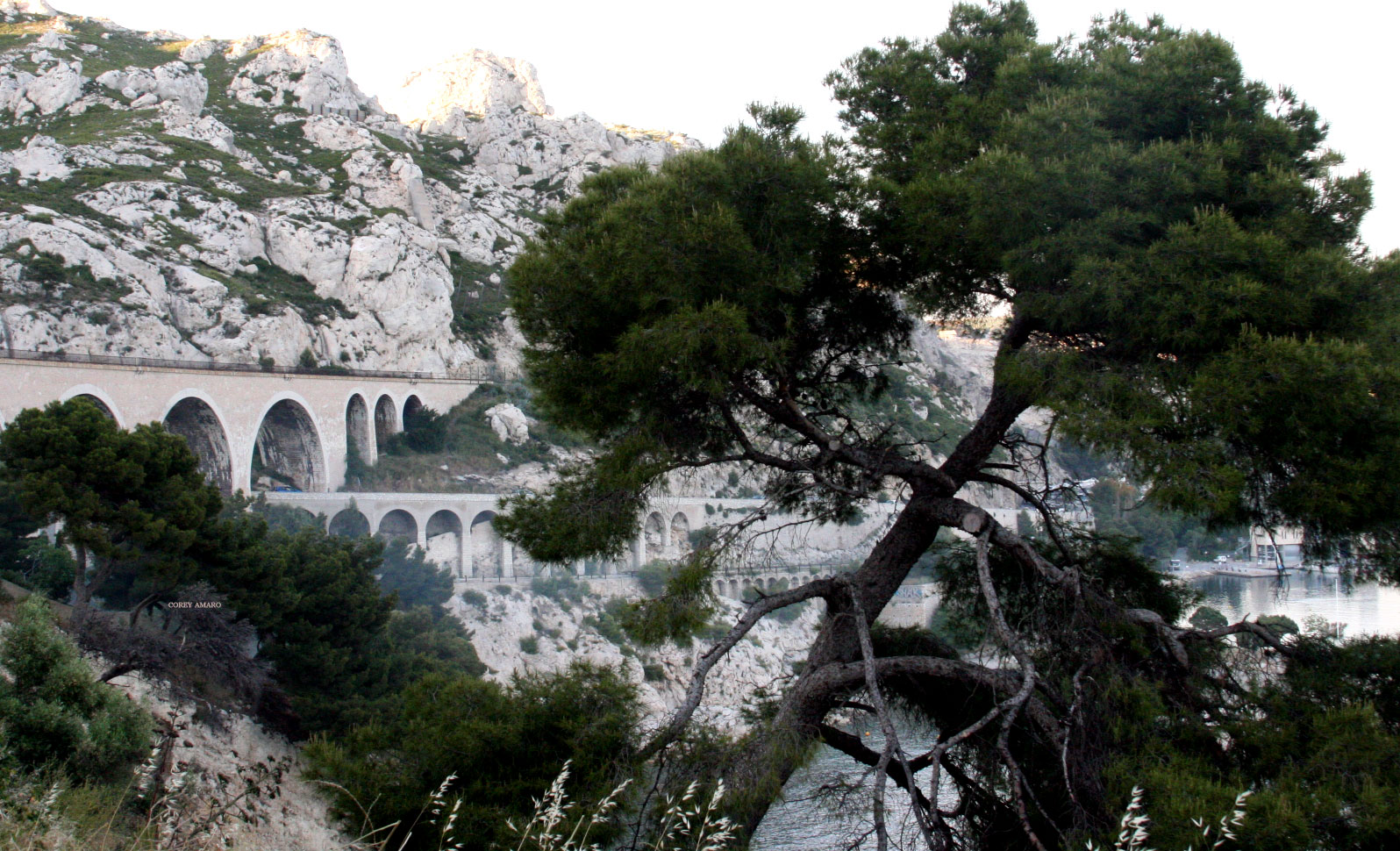 Pont