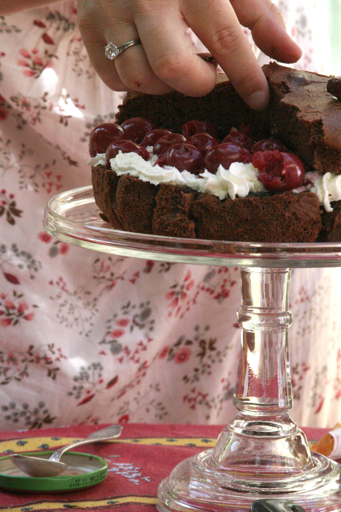 Foret-Noire- Foret-Noire-