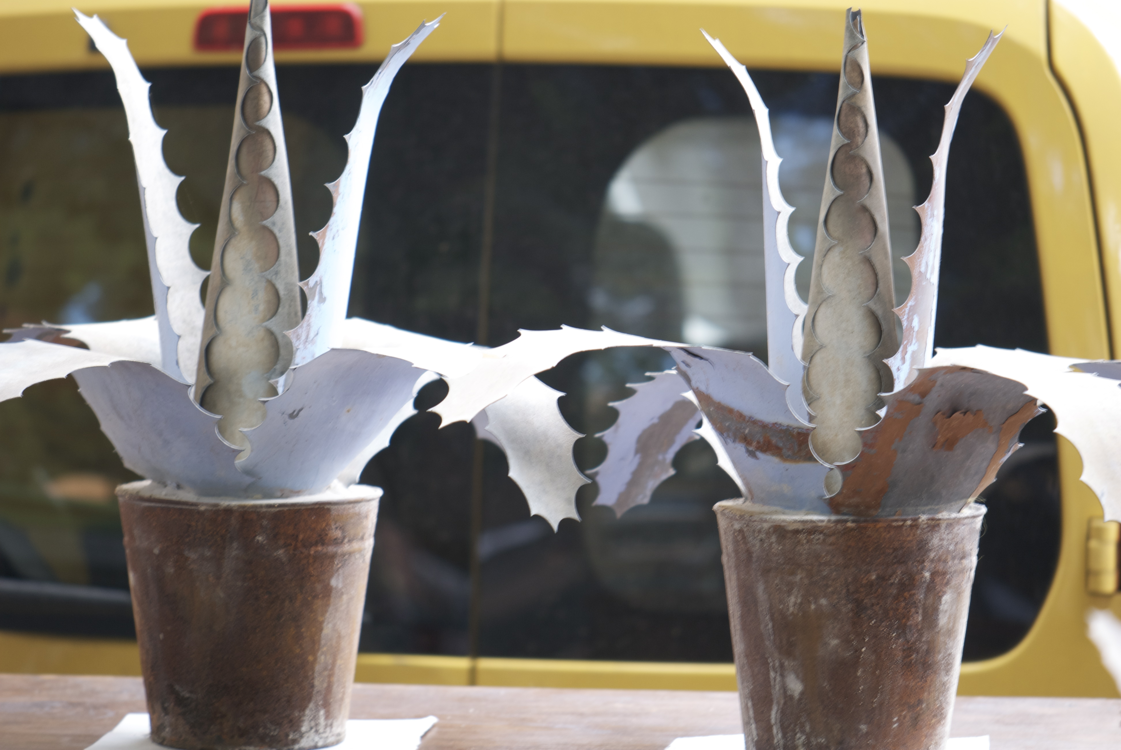 cactus floral decoration cactus floral decoration