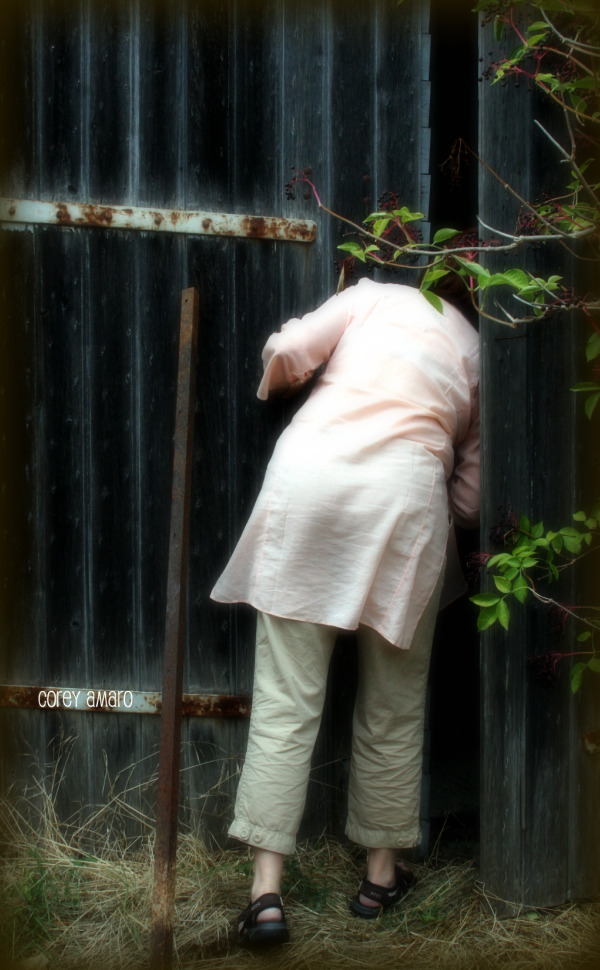Peeking inside the chateau