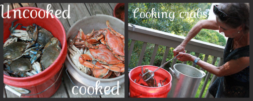 Cooking crabs