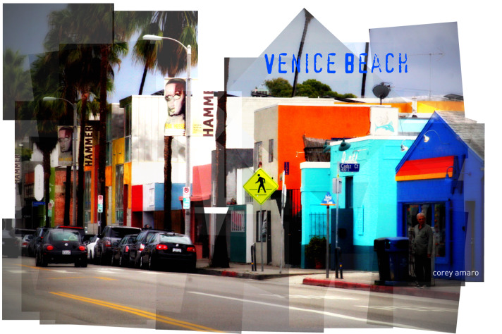 Vencie beach Vencie beach