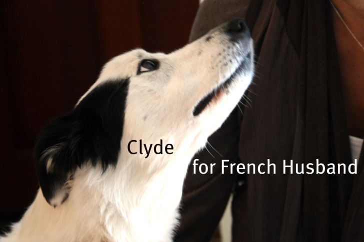 Clyde Clyde