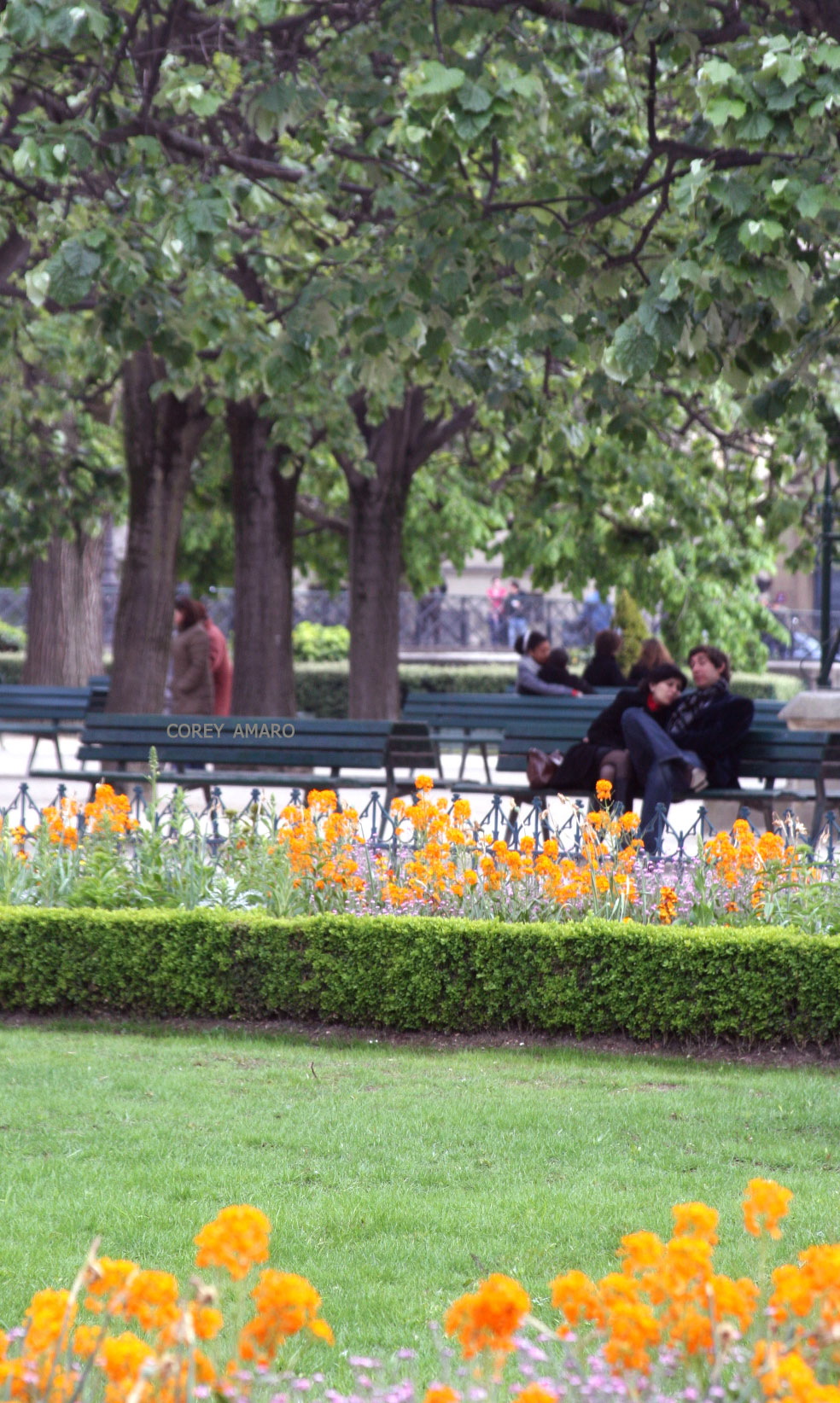 Sitting-on-the-park-bench