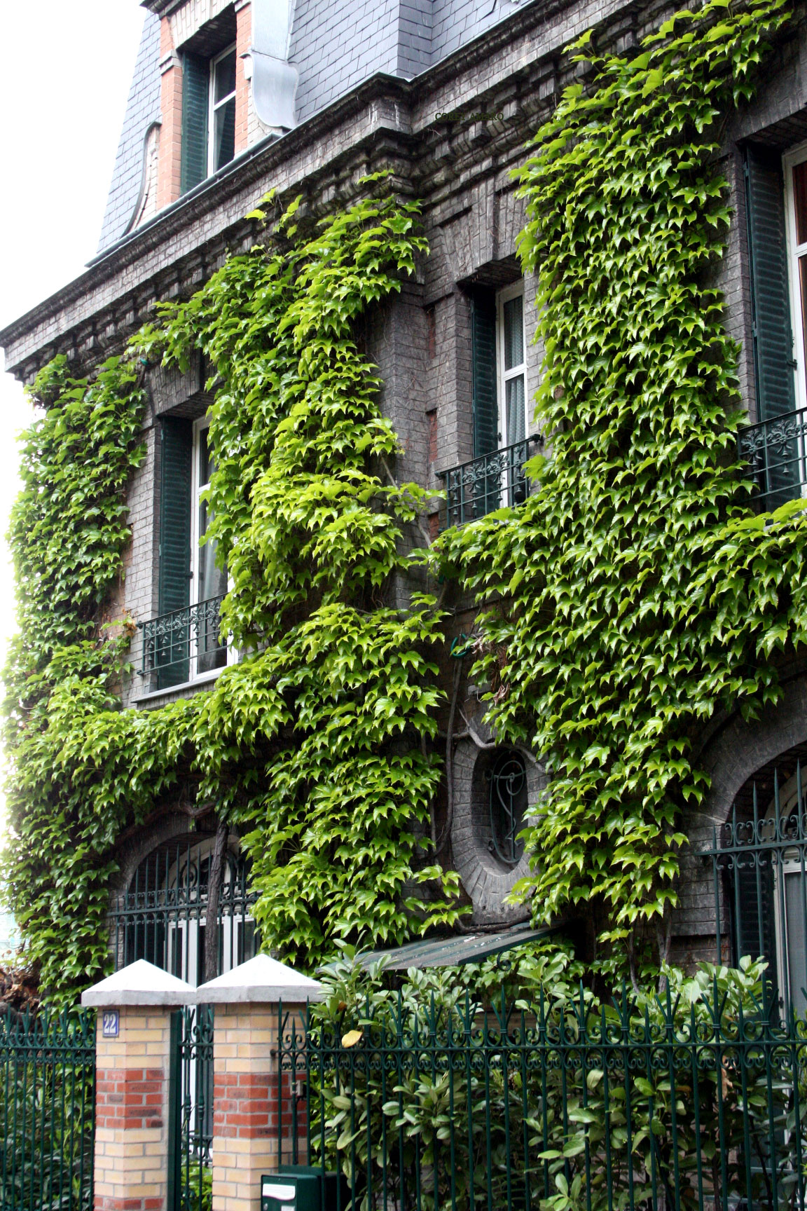 A-ivy covered house-in-Paris A-ivy covered house-in-Paris