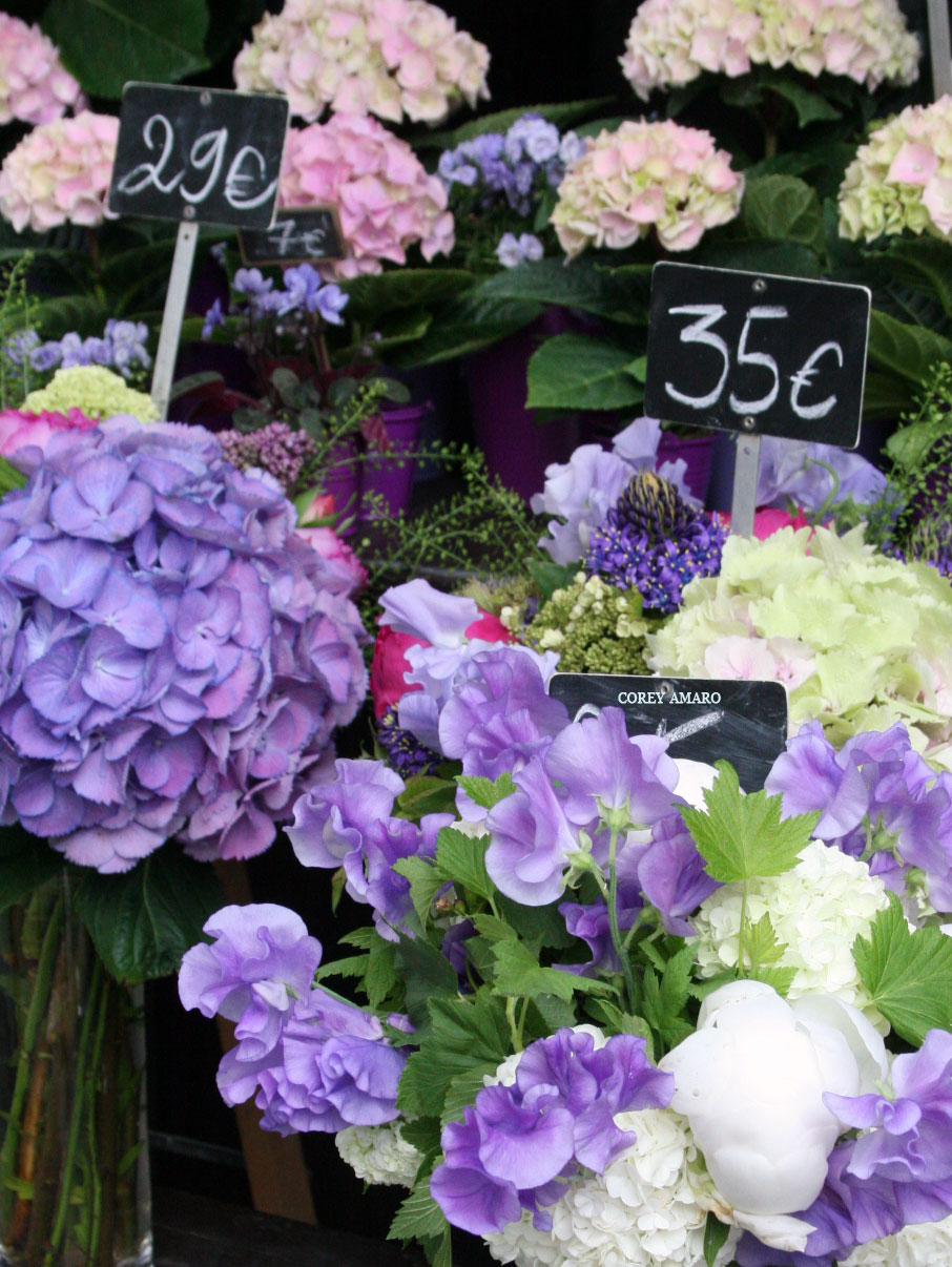 Paris-flower-market