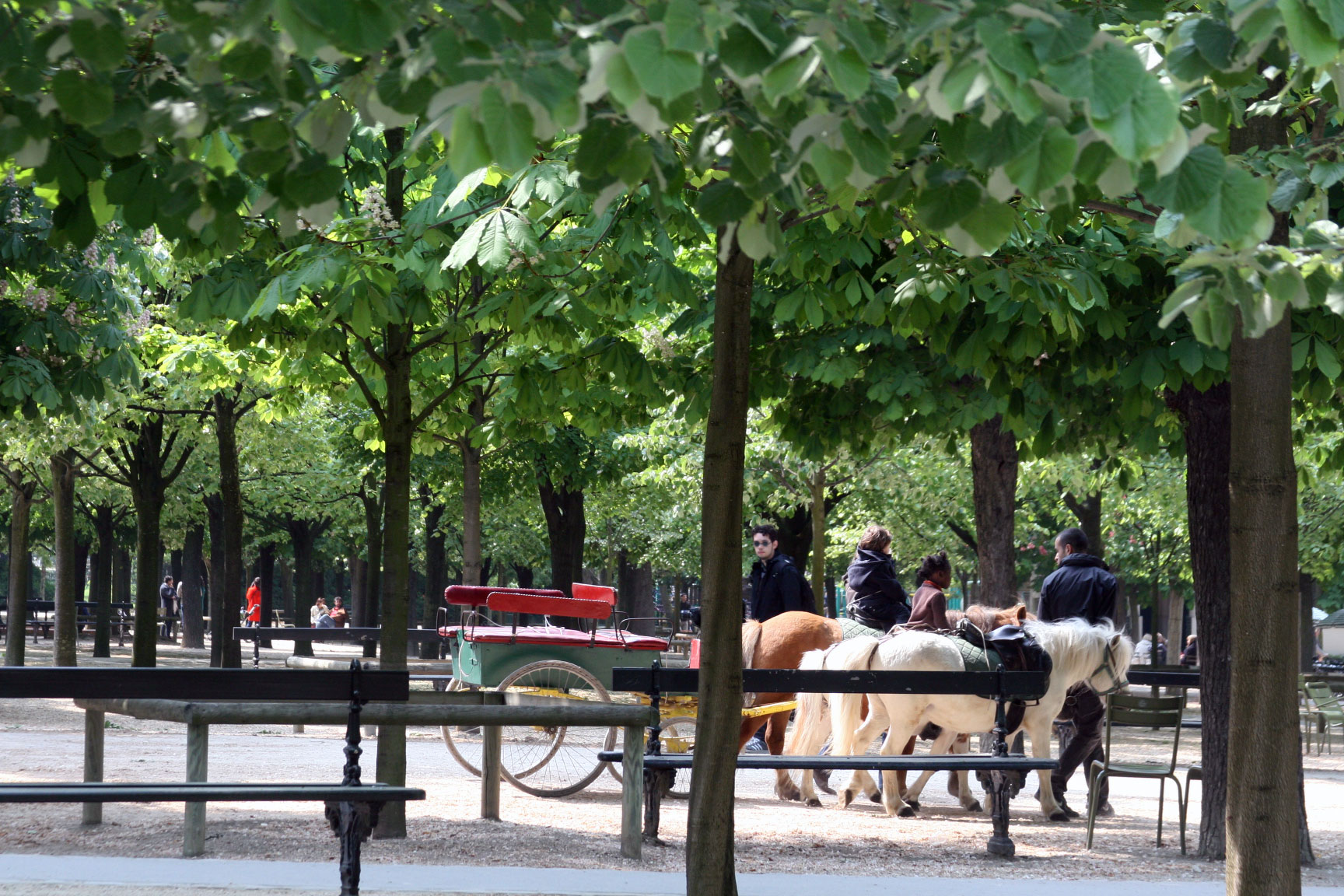 Ponies-in-paris