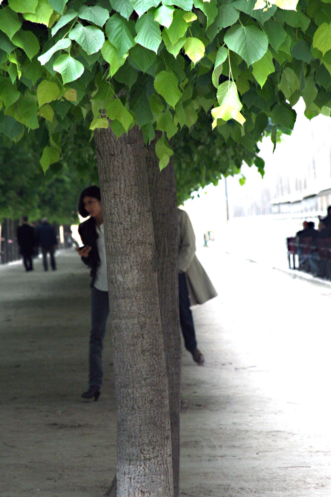 Between-the-tree