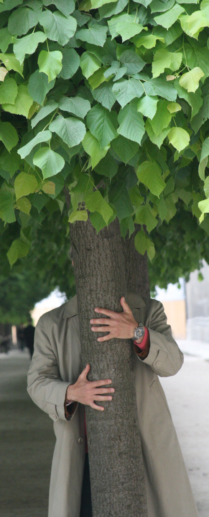 Hugging-a-tree