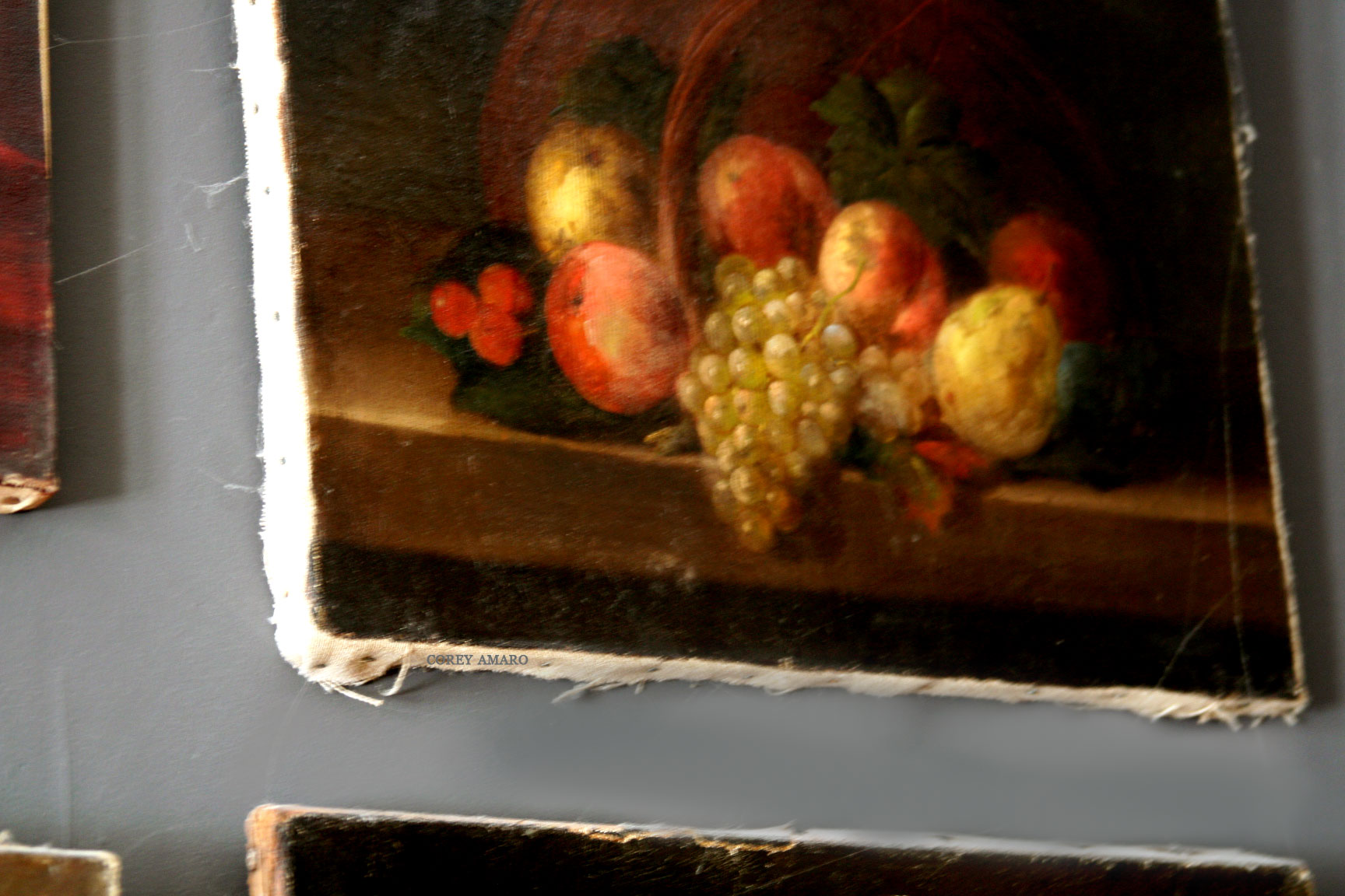Golden-fruit