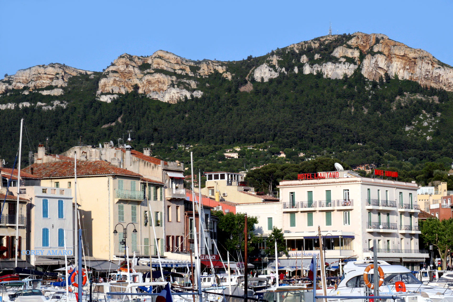 Coastline-cassis