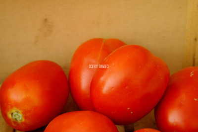 Roma tomatoes