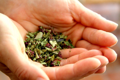 Handful of herbs