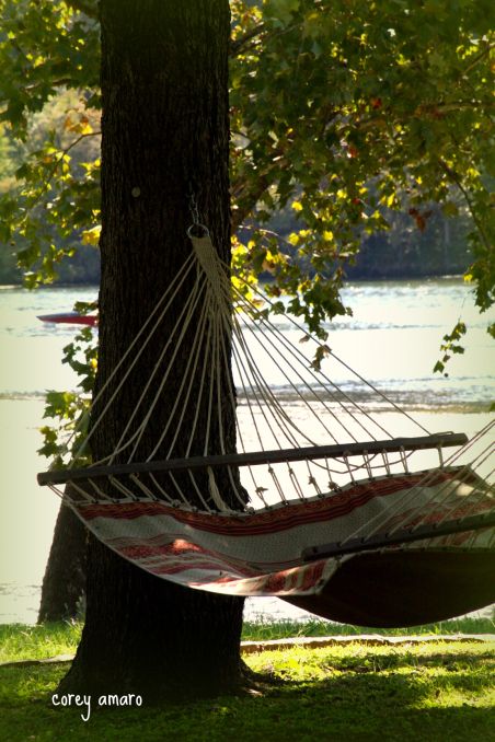 Hammock