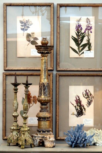 Framed dried flowers Framed dried flowers