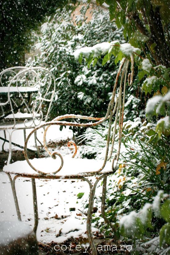 Garden chair in the snow Garden chair in the snow