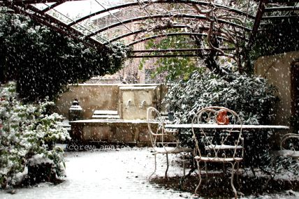 Courtyard, snow Courtyard, snow