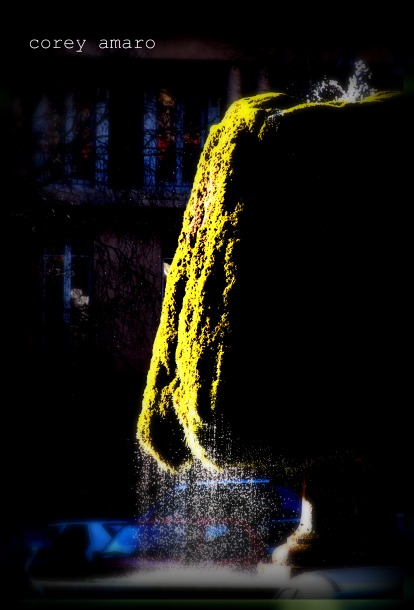 Moss covered fountain,provenc