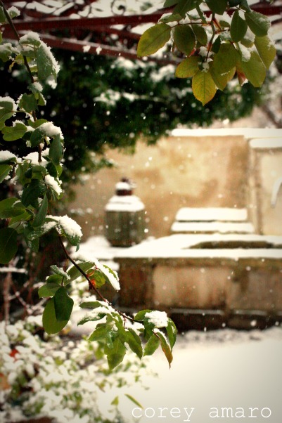 Fountain under snow Fountain under snow