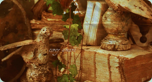 On the wings of a bird