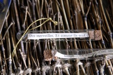 Hopes and dreams Hopes and dreams