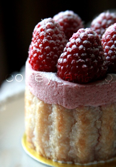 Raspberry charlotte