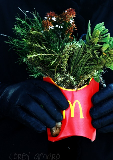 Slow food bouquet Slow food bouquet