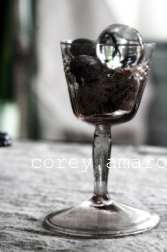 Corey amaro wine glass