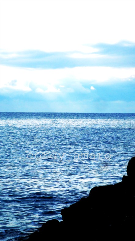 The sea sanary The sea sanary