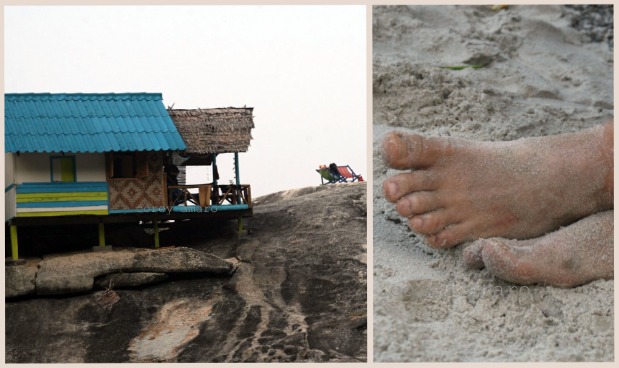Tree house, Phangan hut on the rocks Tree house hut on the rocks