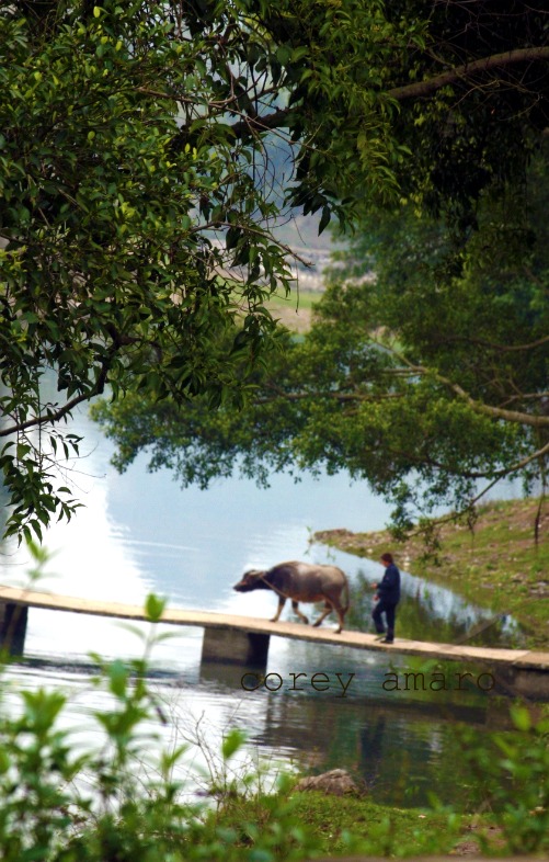 Southern china countryside
