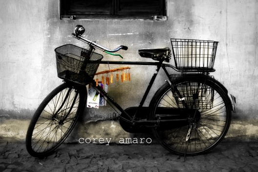 Bicycke china