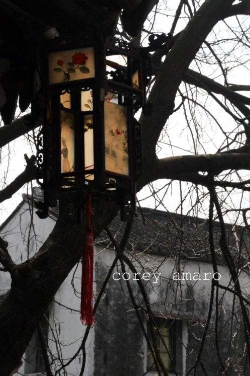Chinese lanterns