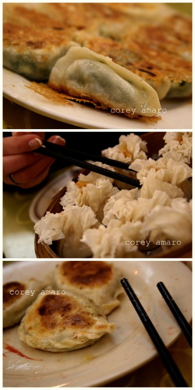 Dumplings china Dumplings china