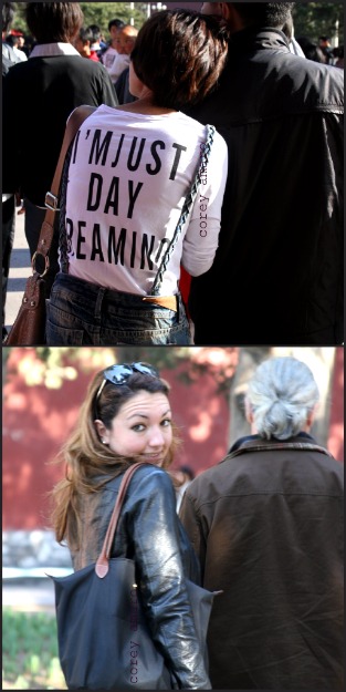 Must day dream Must day dream