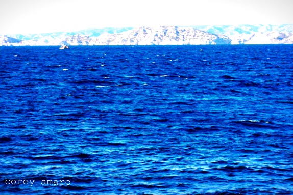 Marseille sea
