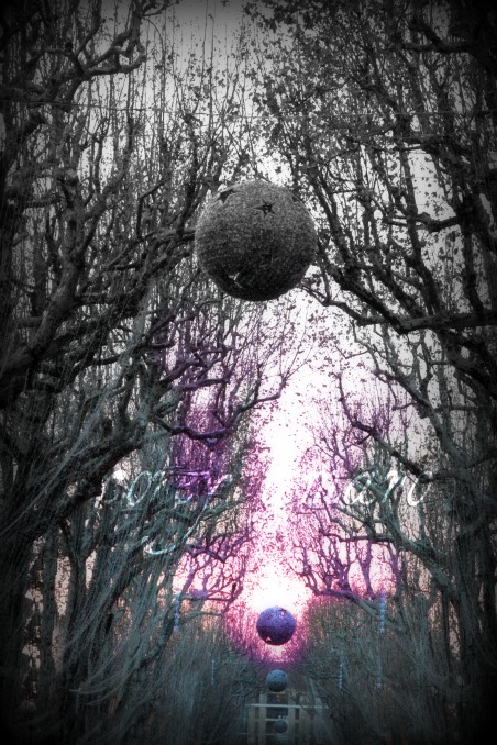 Cours mirabeau christmas