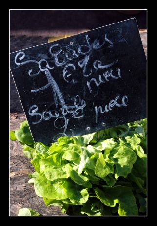 Salade 1 Euros Salade 1 Euros
