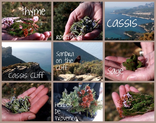 Herb de provence Herb de provence