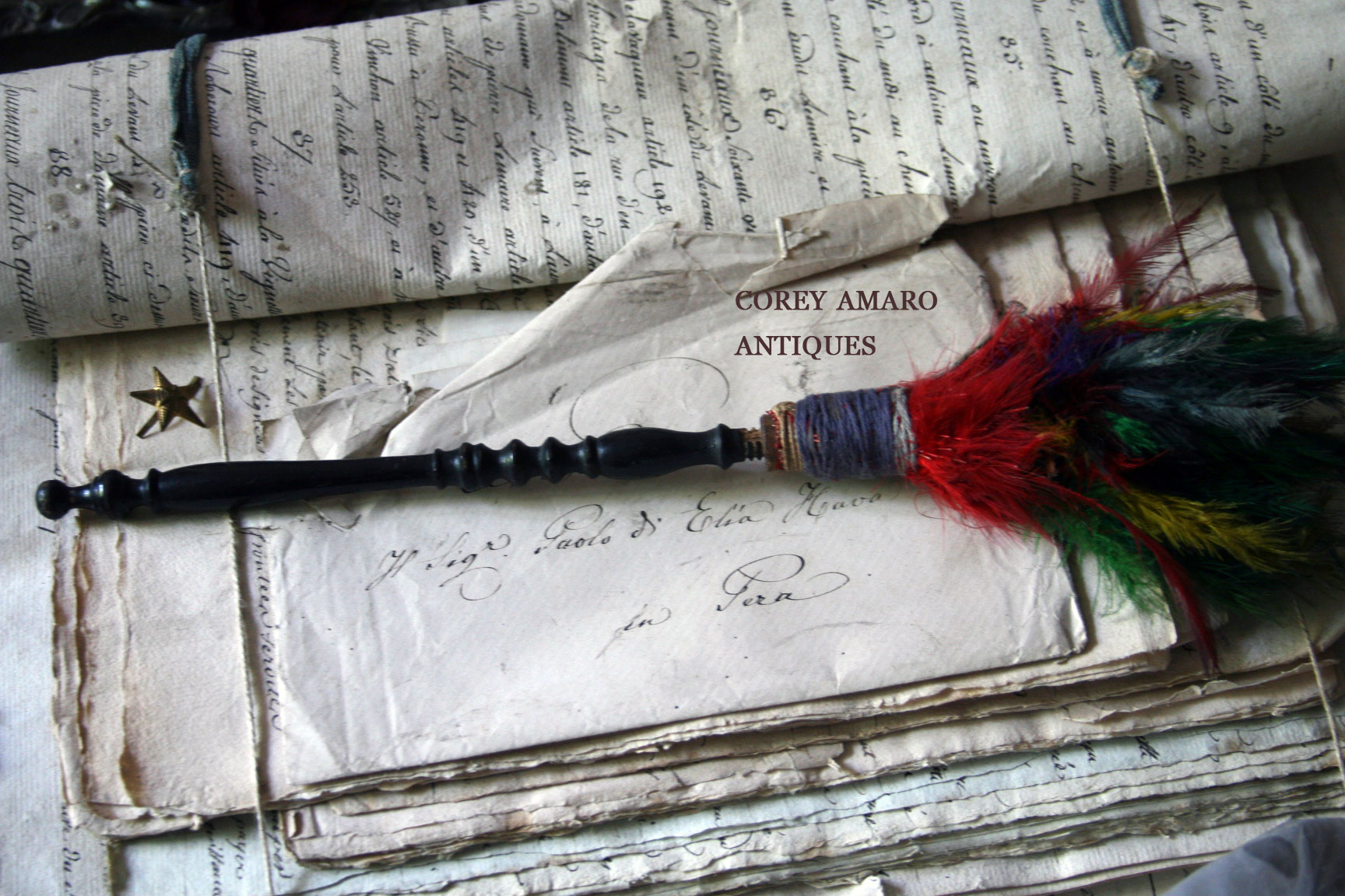 Feather-duster Feather-duster