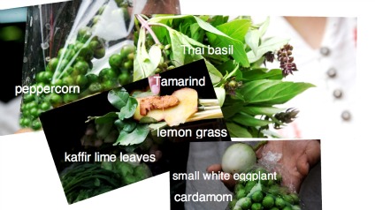 Thai herbs, spices and vegetables