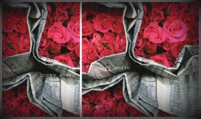 Roses in newspaper Roses in newspaper